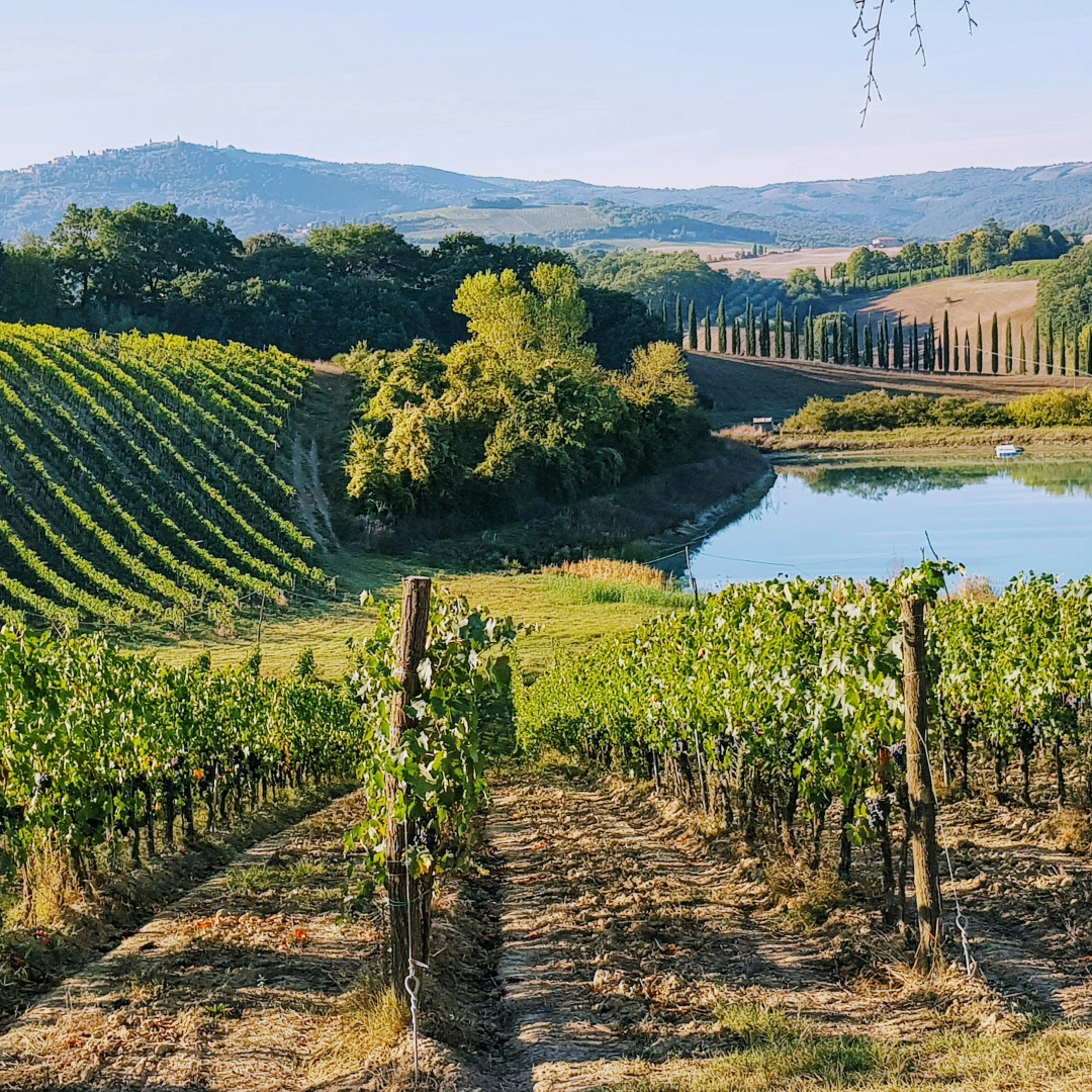 Maremma e costa toscana