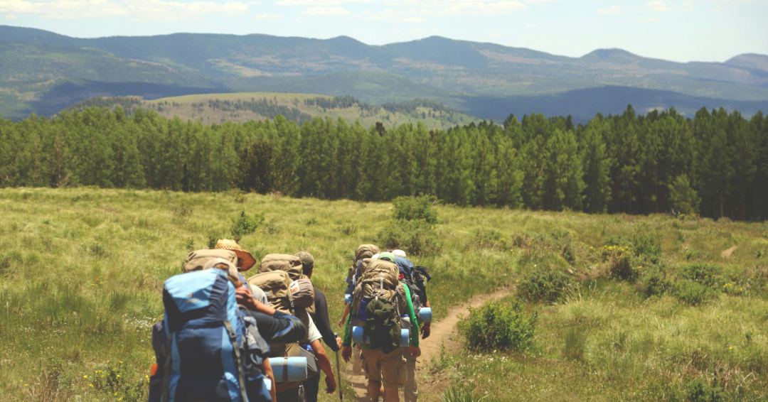 Attività ricreative in loco